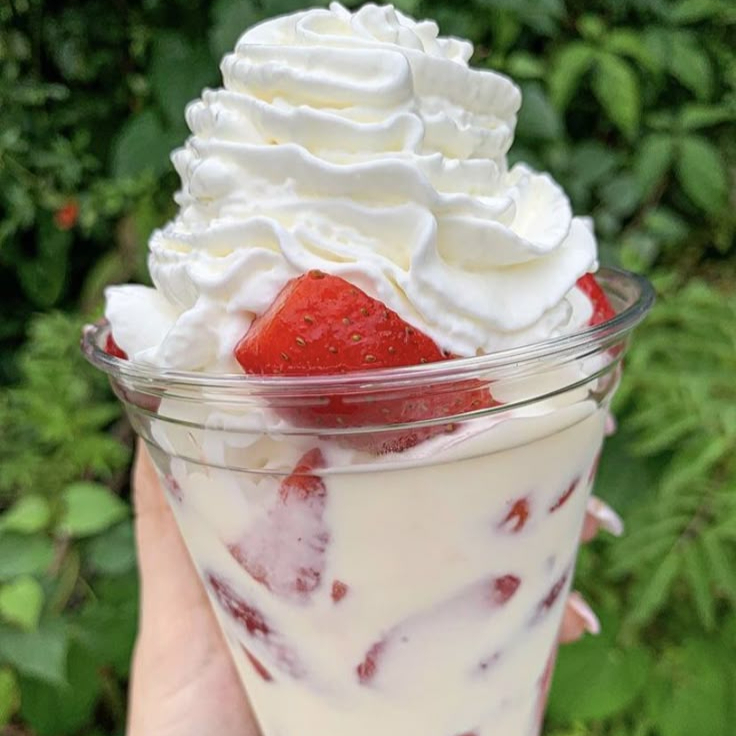 Fresas con Crema