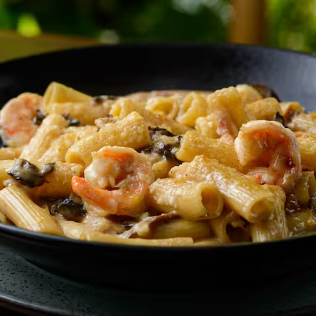Rigatoni com camarão, presunto de Parma e champignon paris gratinado