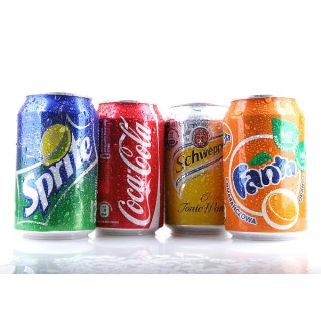 Refrescos lata 355ml