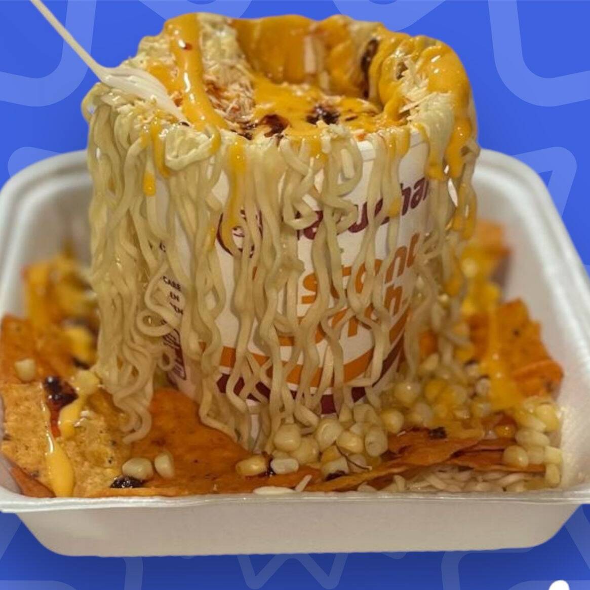 SOPA LOCA