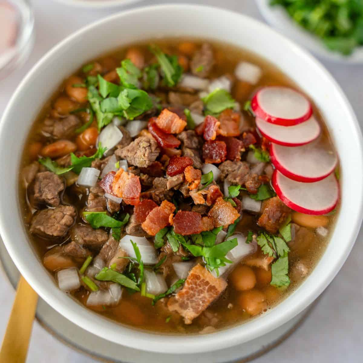 Carne en su jugo + jamaica 500 ml
