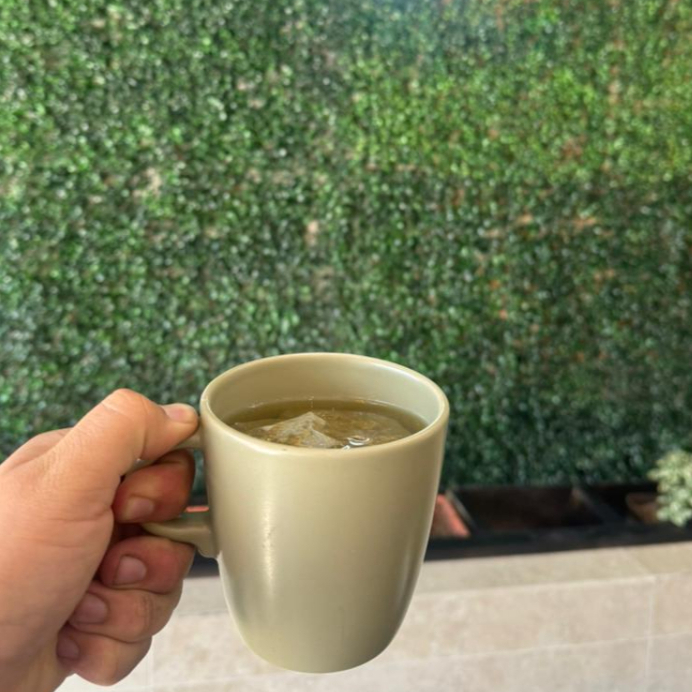 INFUSIÓN DE FRUTOS ROJOS