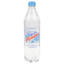 AGUA MINERALIZADA 600ML