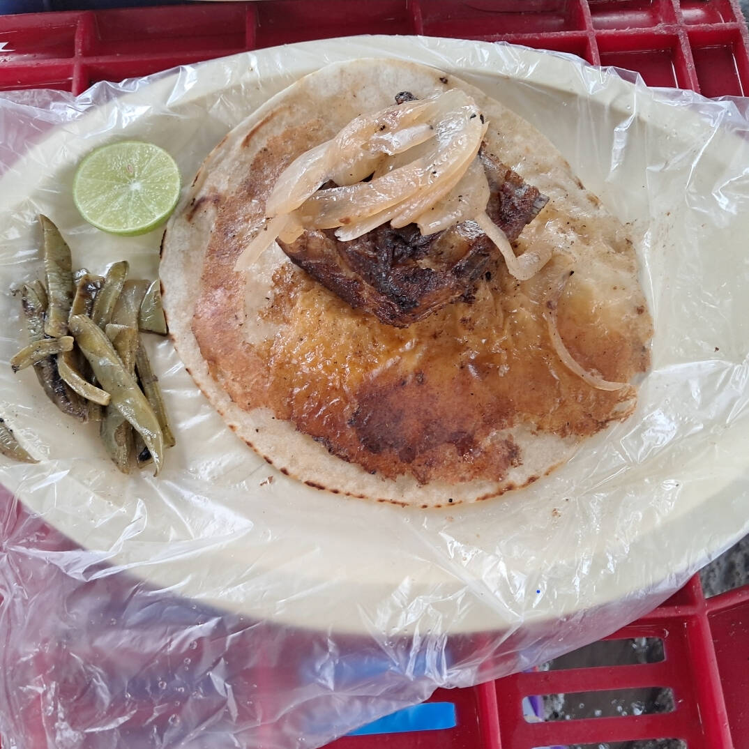 Quesadilla de Harina de Costilla