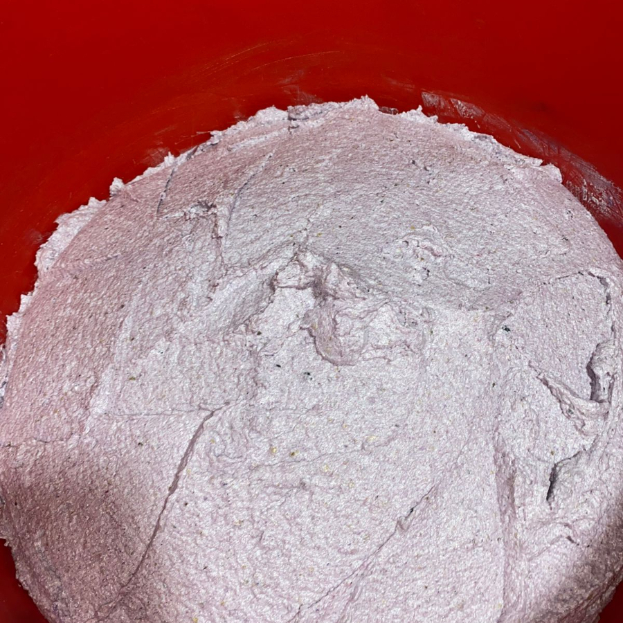 MASA SABOR ZARZAMORA