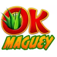 Ok maguey sales