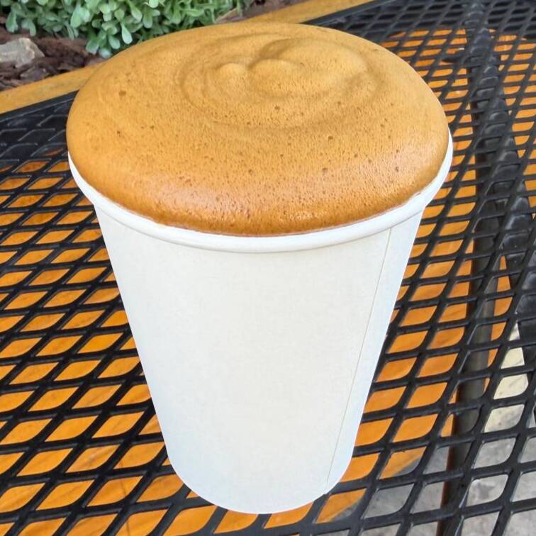 Latte 12 oz