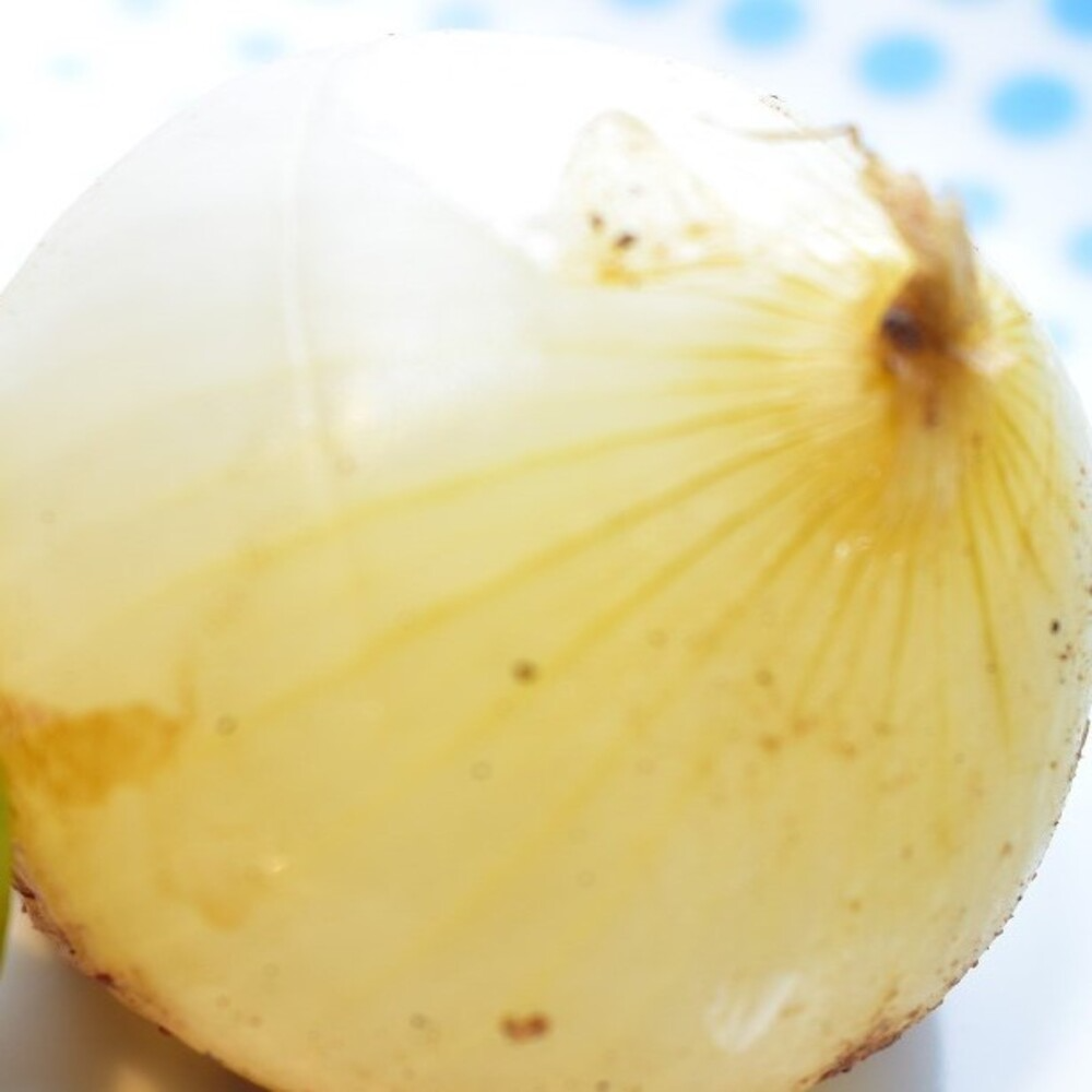 Cebolla