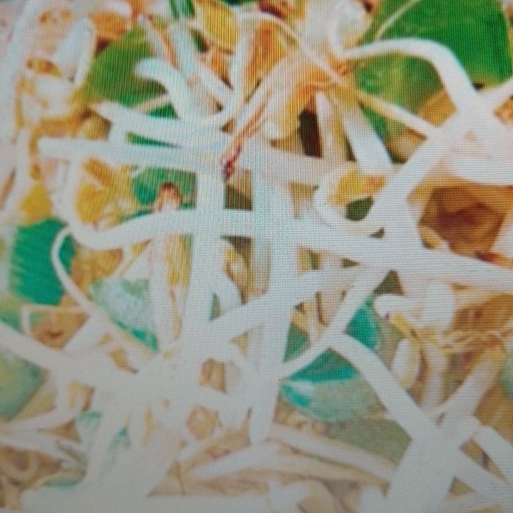 Chop Suey