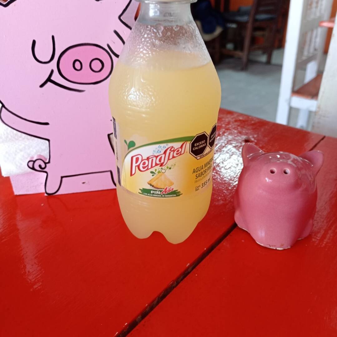 Piñada peñafiel Pet 355 ml