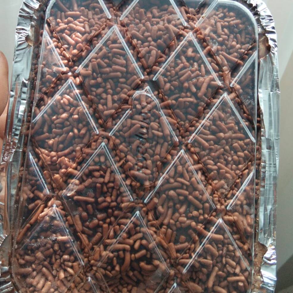 (250ml) Brownie super chocolatudo e macio, coberto com uma generosa camada de brigadeiro cremoso. Uma combinação irresistível para quem ama chocolate! 🍫🤎