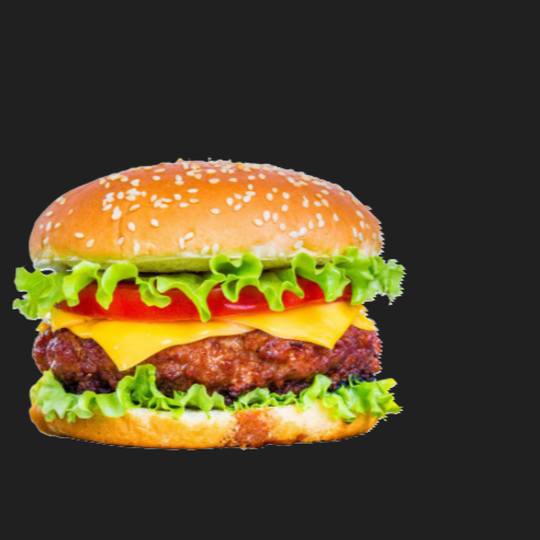 BURGER ESPECIAL