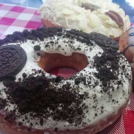 Dona Especial Galletera