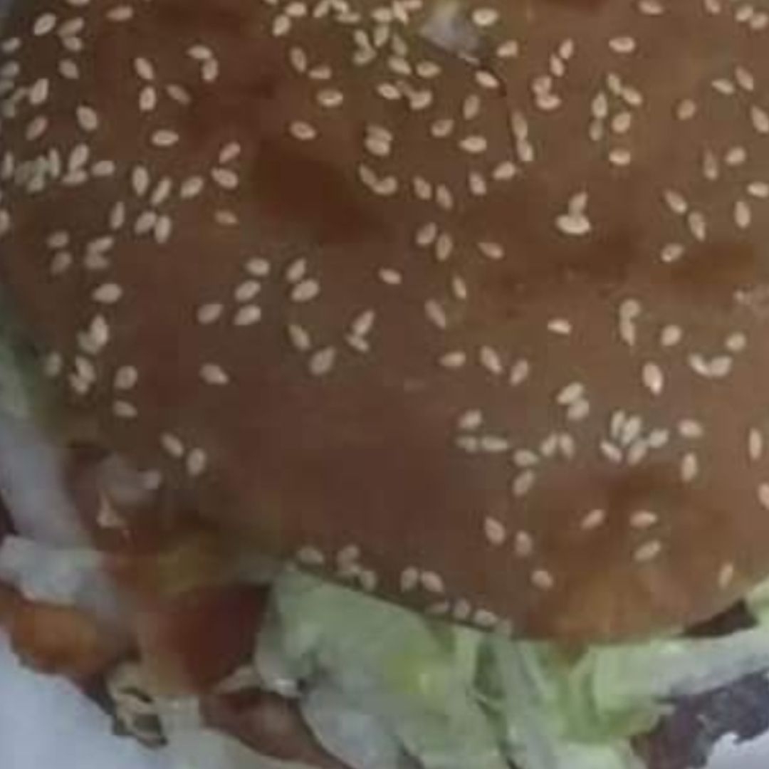 Hamburguesa de Arrachera 150 Grs