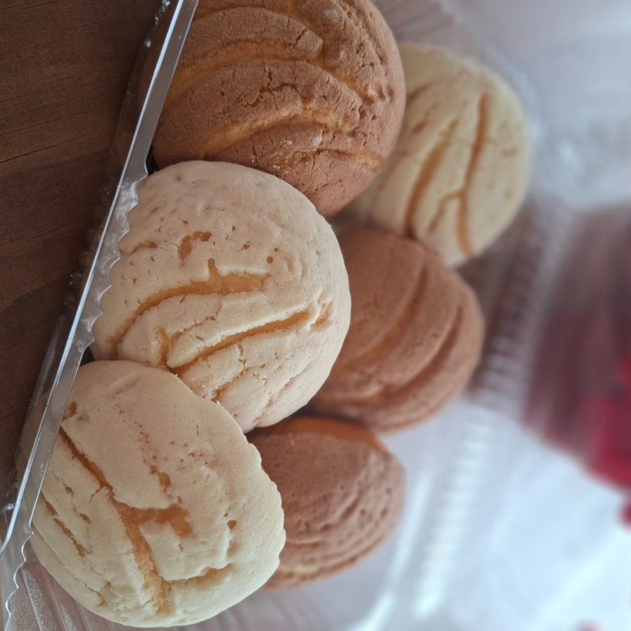 caja de conchas 6pz