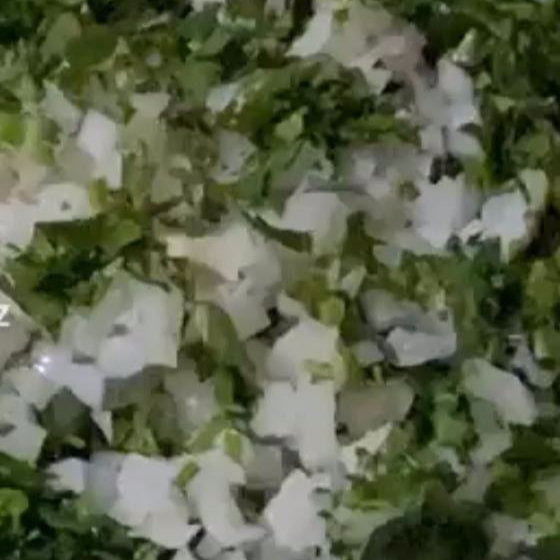 Cebolla con Cilantro