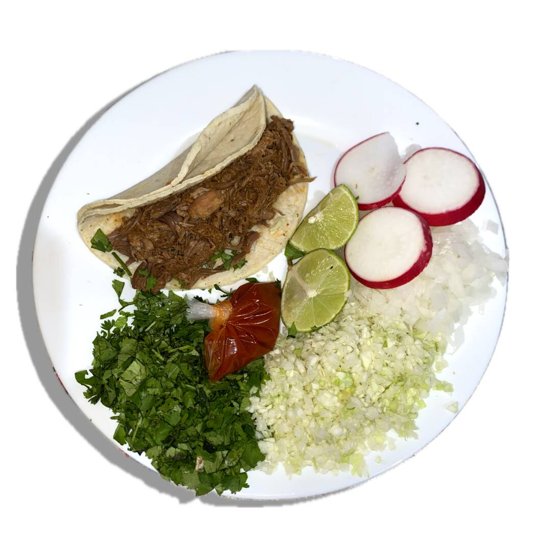 Taco de Birria