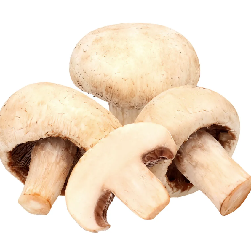Champiñones