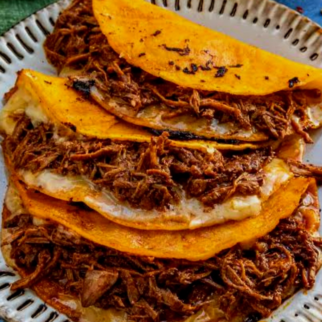 Quesabirría Sencilla