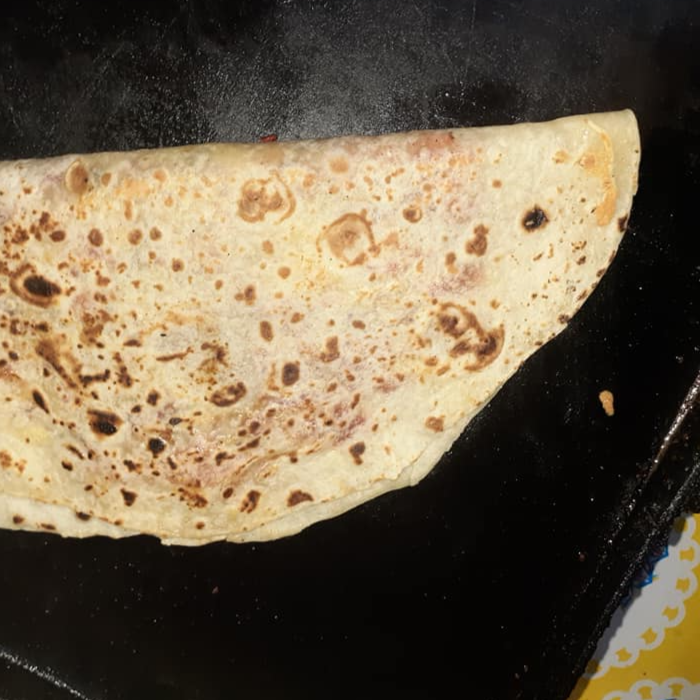 Quesadilla especial