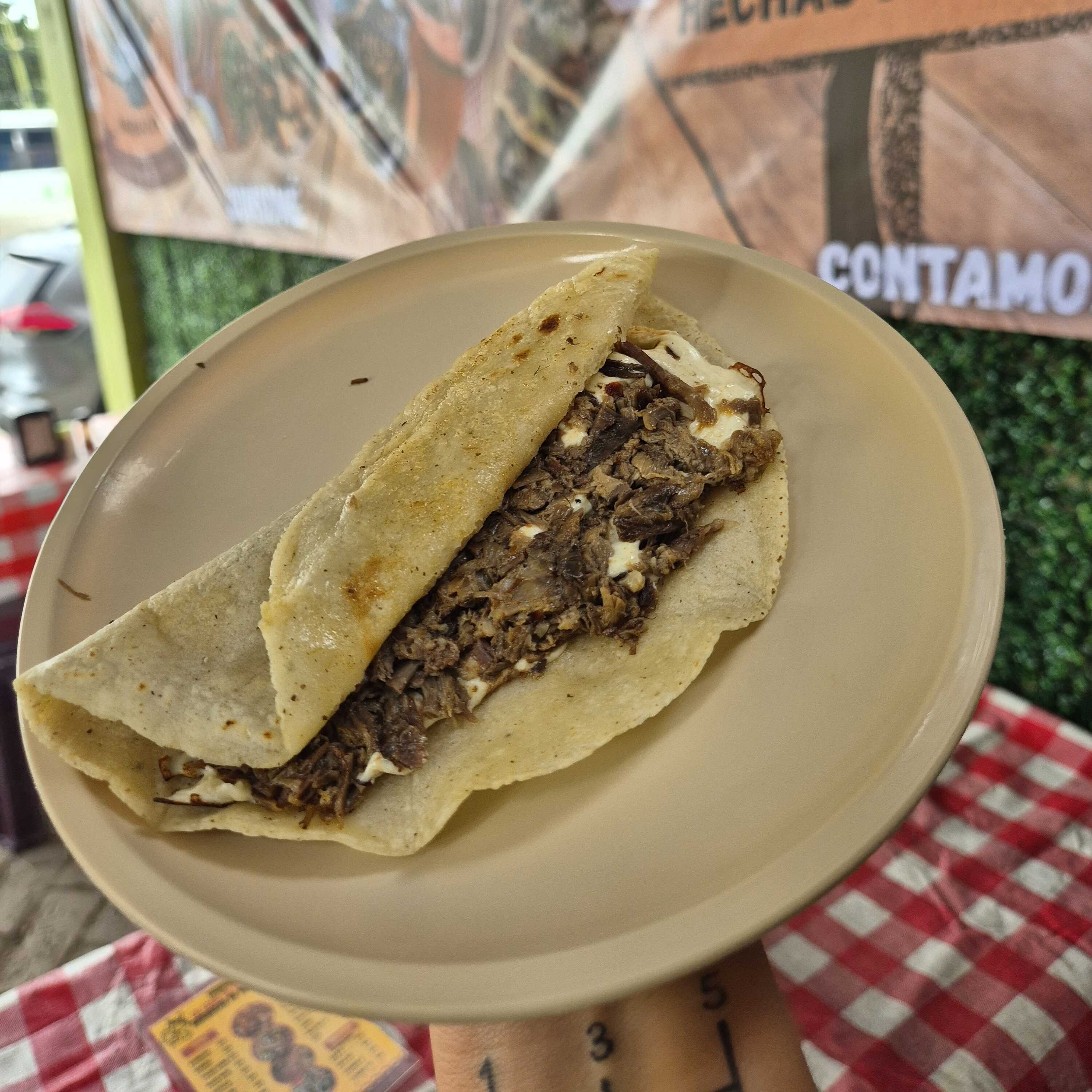 Quesadilla con carne