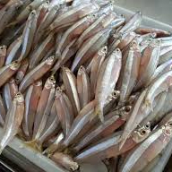 Manjuba limpa, com espinho pequenos. valor referente a 500 gr peixe para fazer em casa(na falta do fresco será enviado o congelado)