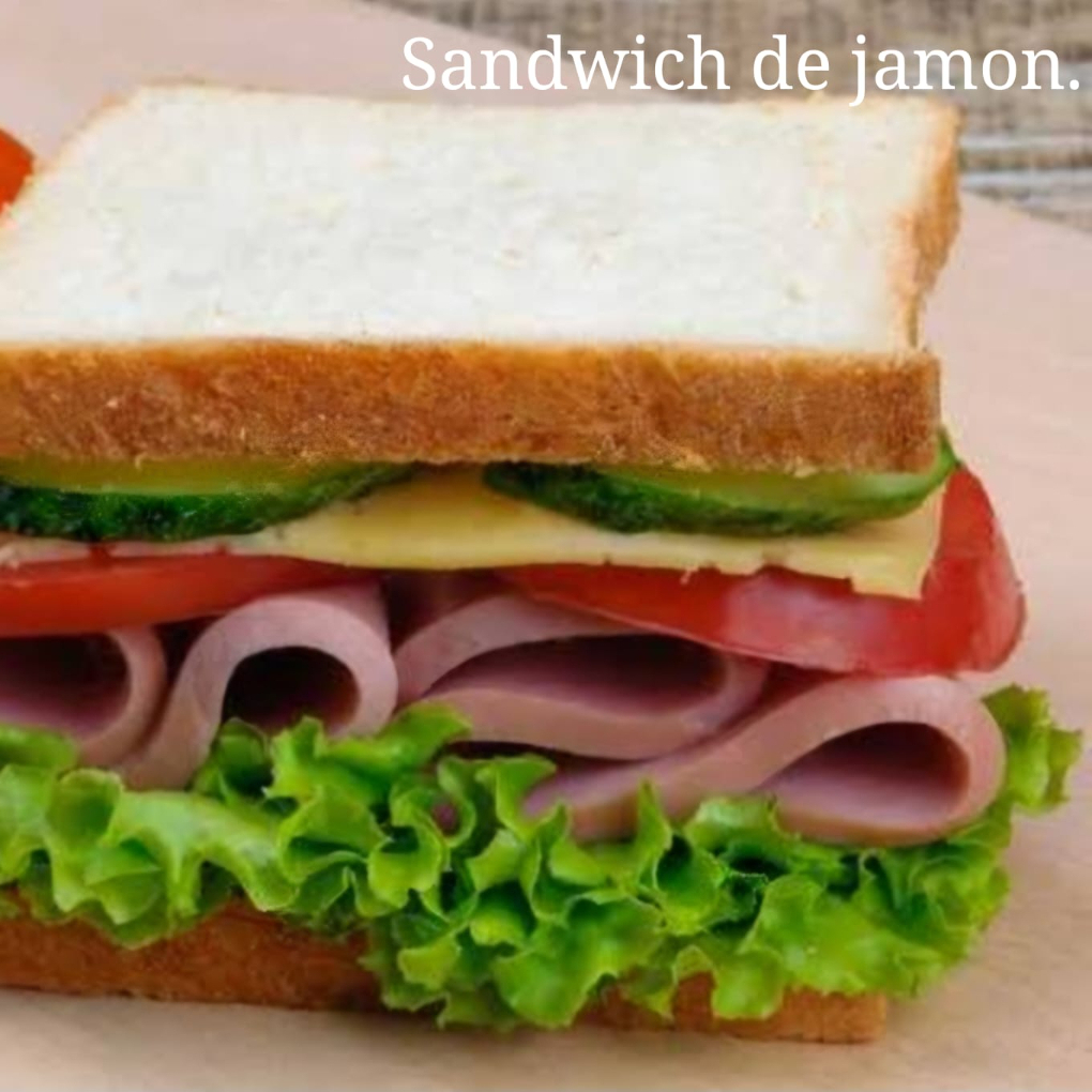 Sandwich de Jamon+ Coca cola 345ml