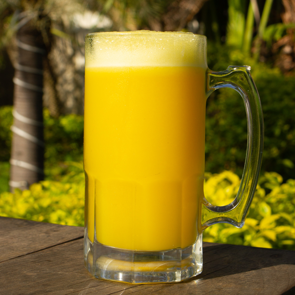 Pulque Curado 1L