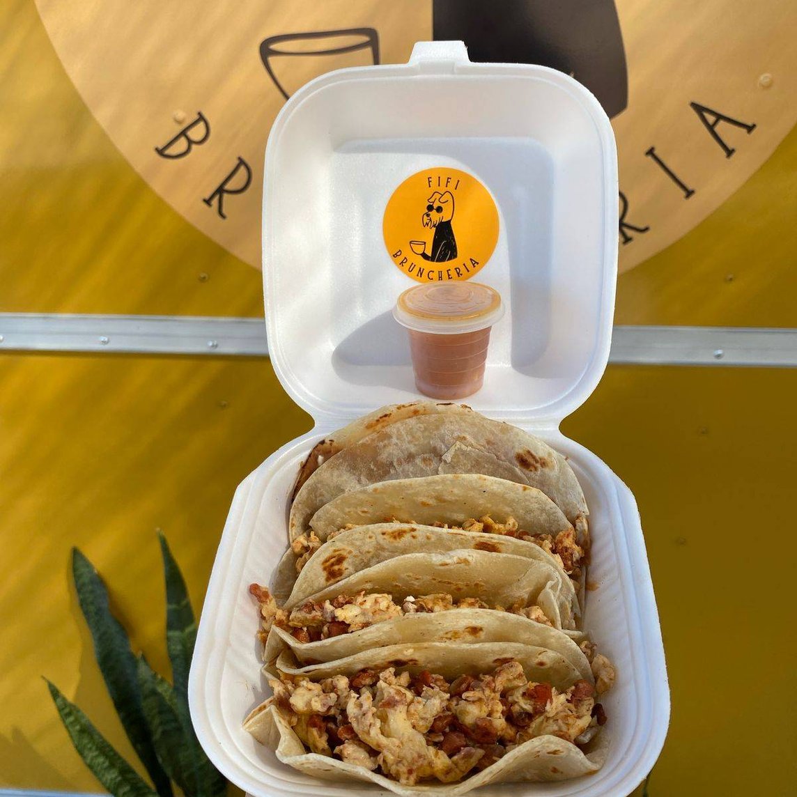 Tacos/Burritos de guisado