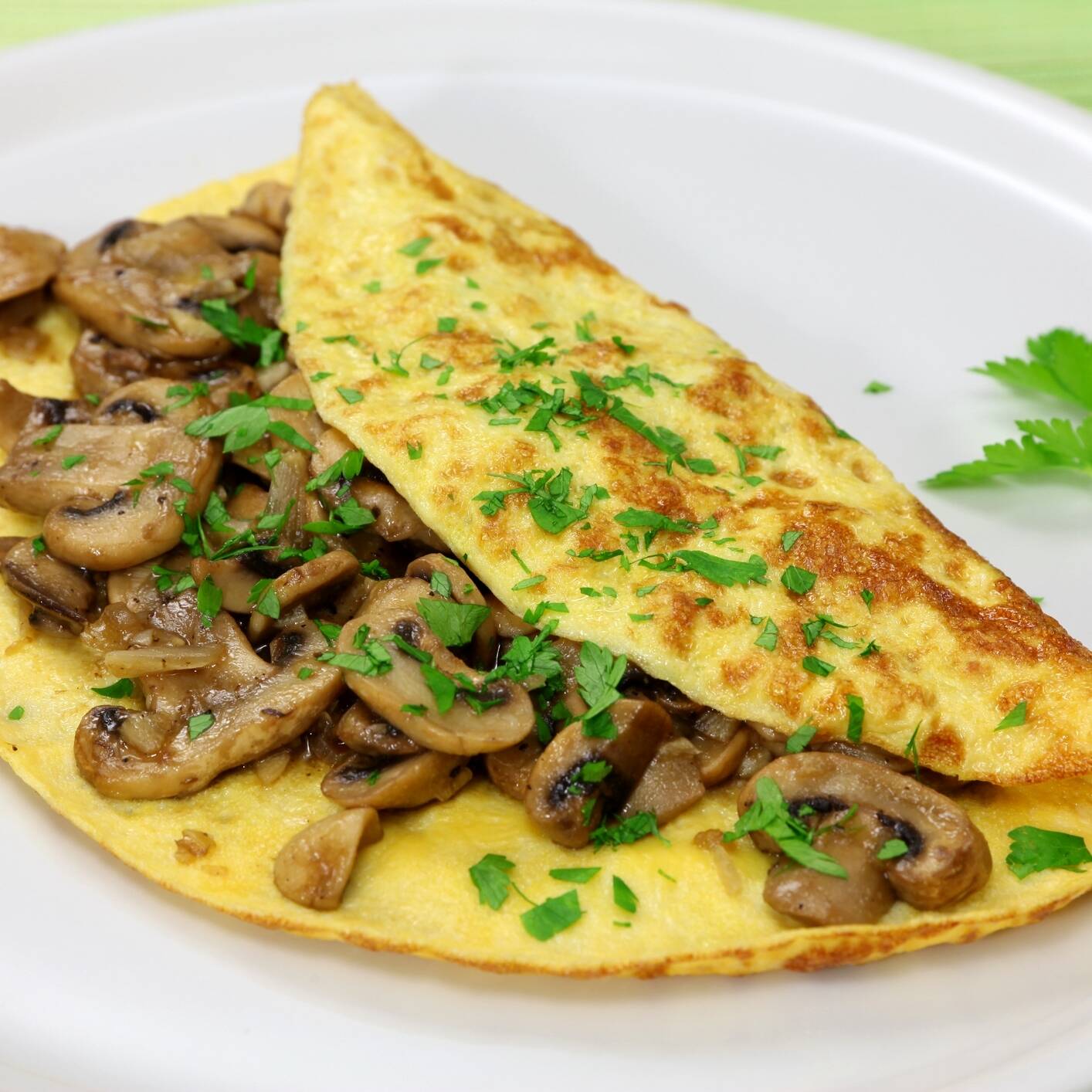 OMELETTE RELLENO(Incluye cafe y tortillas)