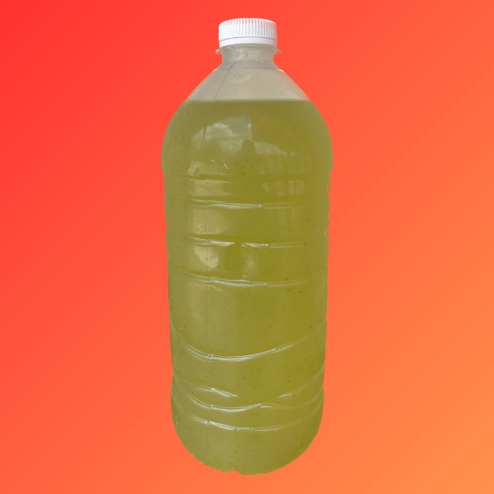 Agua de pepino con limón