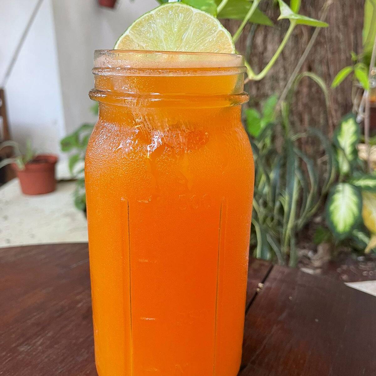 Agua de Zanahoria, Limón y Kiwi