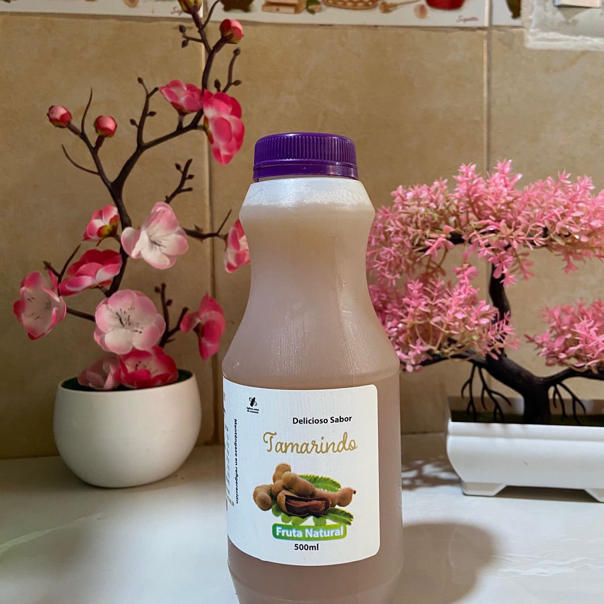 Agua Natural de Tamarindo 500 Ml