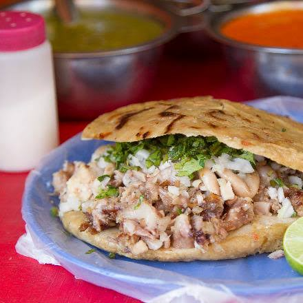 Gordita de costilla