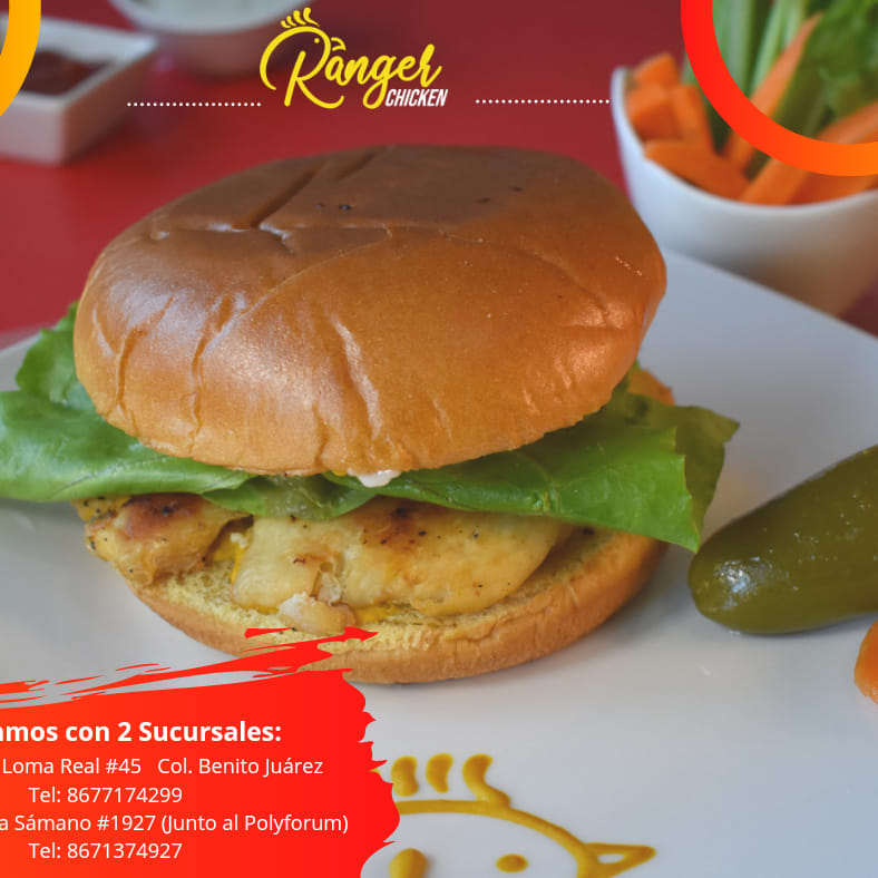Combo - Hamburguesa Natural de Pollo