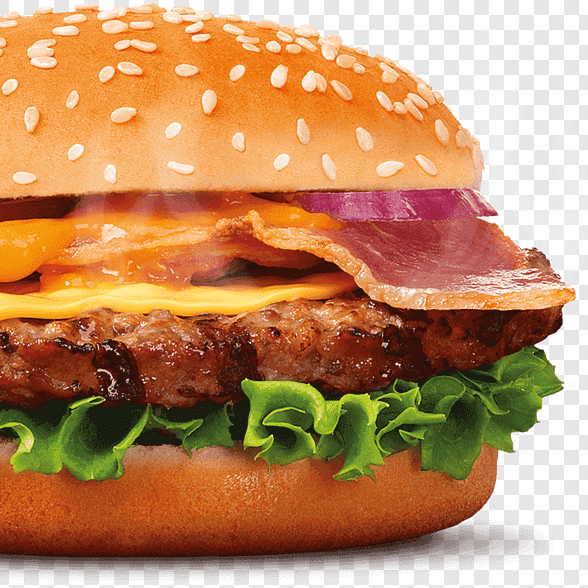 BURGER ESPECIAL