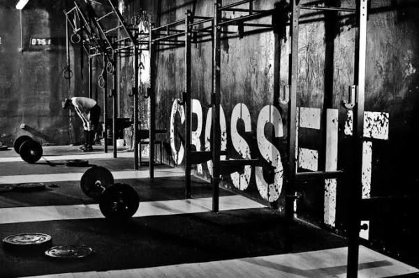 Proteína Sportfeed Cross Functional
