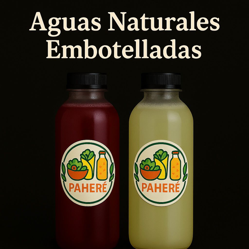 Agua de Sabor Embotellada 500 ML