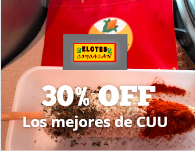 Elotes Coyoacán (Juan Escutia)