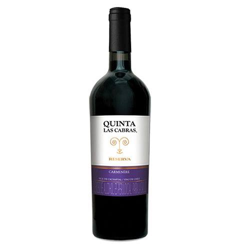 Botella Vino Tino Carmenere