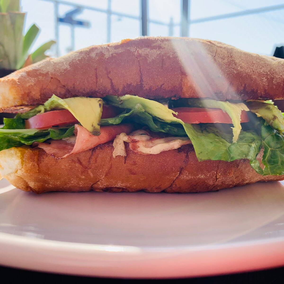 Torta Clásica