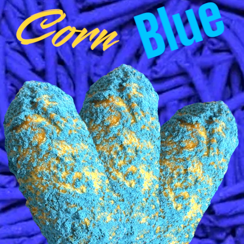 Corn Blue