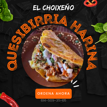 QUESIBIRRIA HARINA