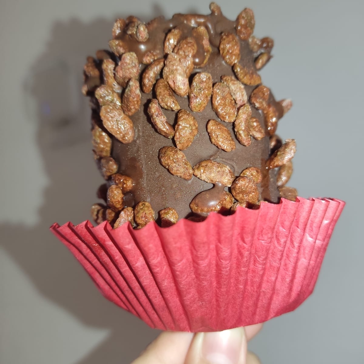 Parlta de Yogurt con Cereal
