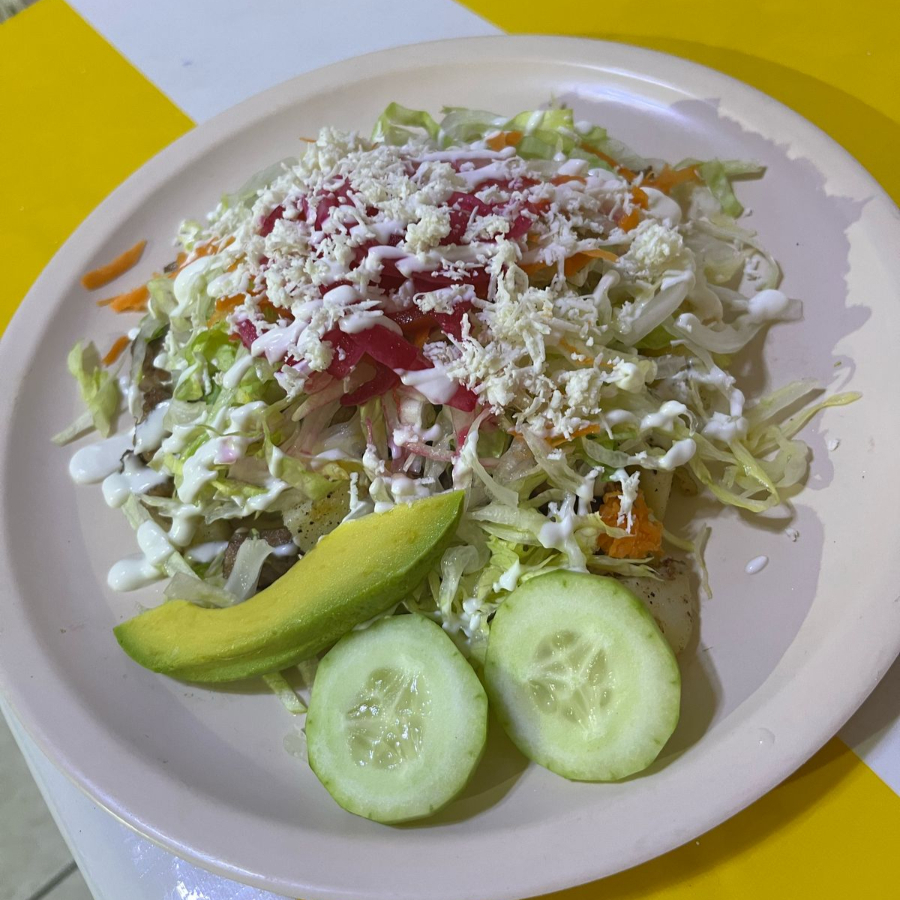 "Nocaut Seguro"