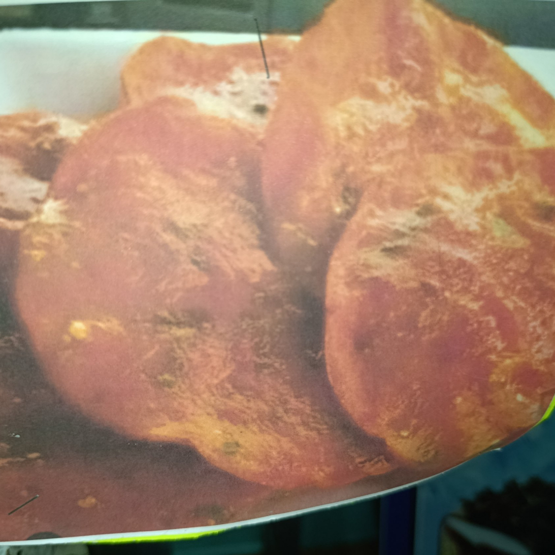 Tostadas Bañadas 6 X $25