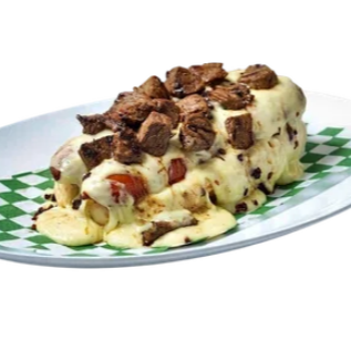 Perro Suizo Español