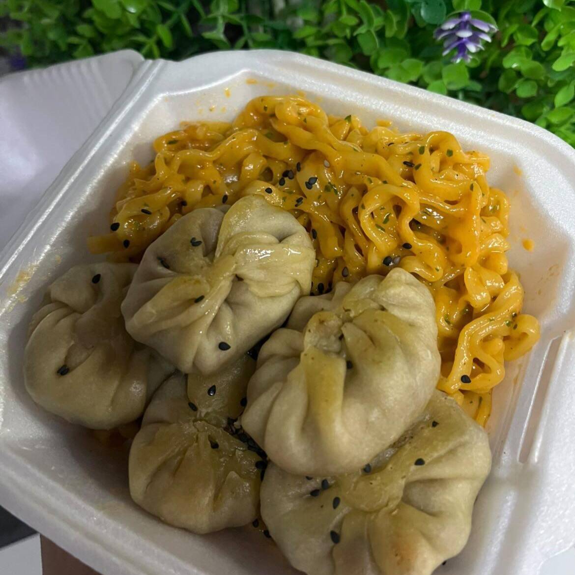 Dumplings con Ramen Picante