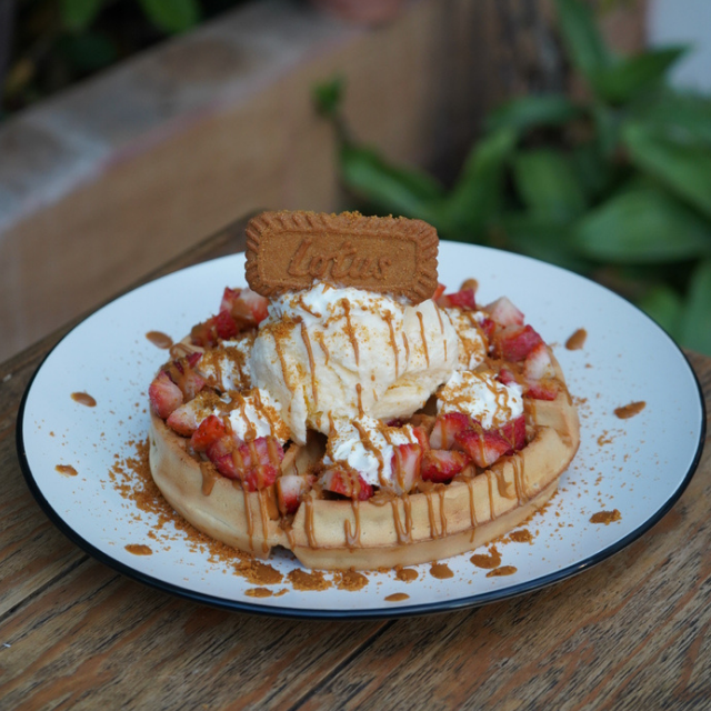Waffle Lotus