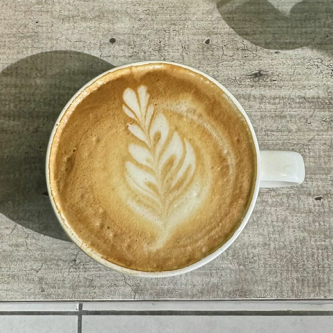 Latte 16 Oz